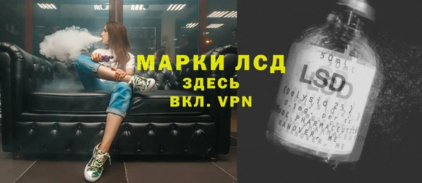 индика Армянск