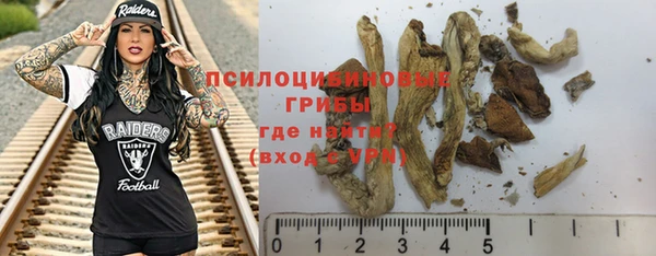 дурь Арсеньев