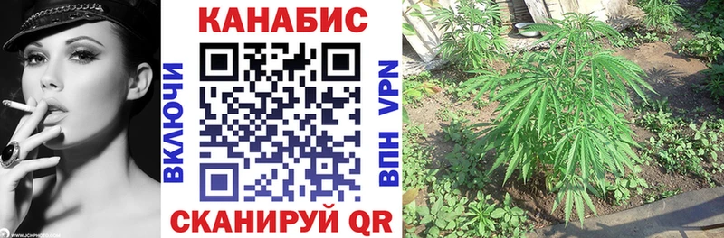 Конопля Bruce Banner  Слюдянка 